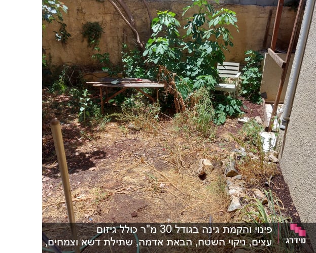 גינה עם צמחים, צינור מים ושולחן עבודה